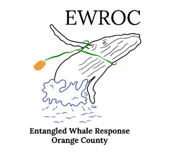 Entangled Whale Response Orange County