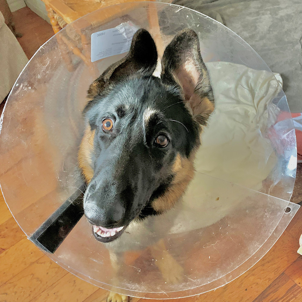 img-Sirius_Cone